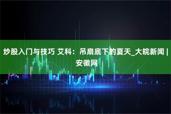 炒股入门与技巧 艾科：吊扇底下的夏天_大皖新闻 | 安徽网