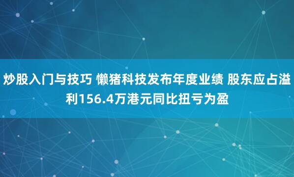 炒股入门与技巧 懒猪科技发布年度业绩 股东应占溢利156.4万港元同比扭亏为盈