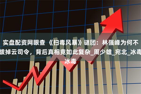 实盘配资网眼查 《扫毒风暴》谜团:林强峰为何不拔掉云司令,背后真相竟如此复杂_周少雄_宛北_冰毒