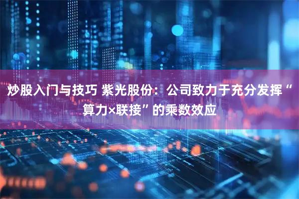 炒股入门与技巧 紫光股份：公司致力于充分发挥“算力×联接”的乘数效应
